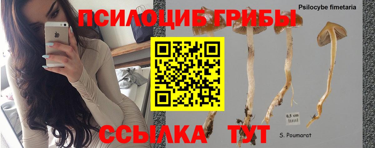 Галлюциногенные грибы Cubensis  Вход с VPN  Якутск 
